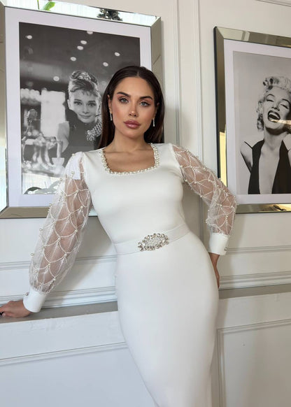 Victorian Glam Dress